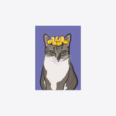 Katze – Bonita «Königin von Rieden» – Postkarte